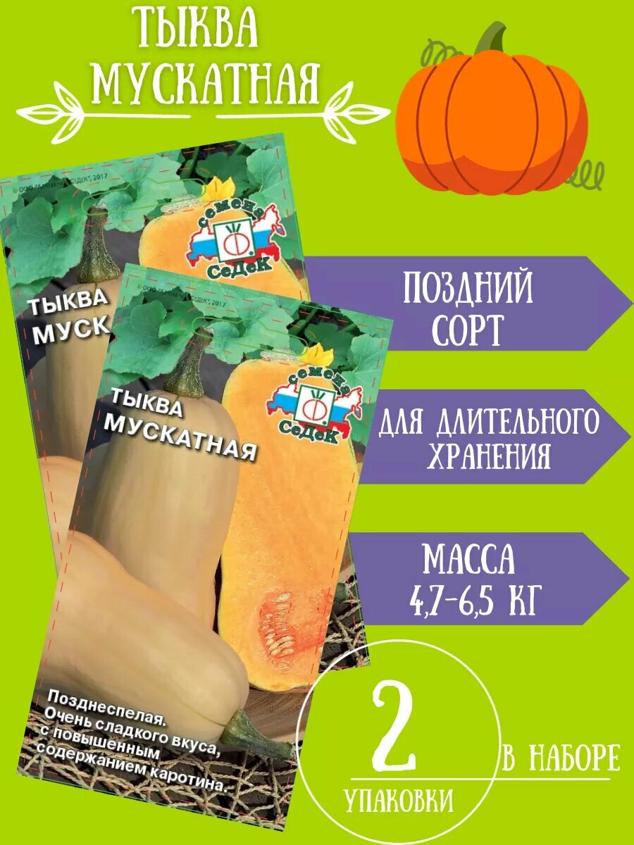 Семена Тыква Мускатная2 упаковки