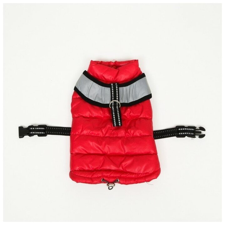 Куртка для собак со светоотражающей шлейкой, размер 10 (ДС 25, ОГ 34, ОШ 24), красная - фотография № 10