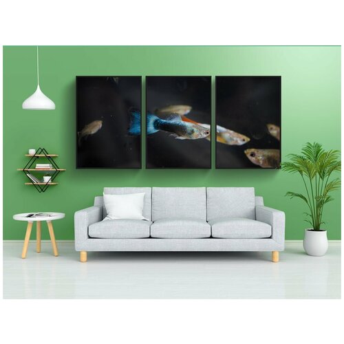 фото Набор модулных постеров для интерьера "рыба, тропическая рыба, тупой" 60x90 см. в тубусе, без рамки lotsprints