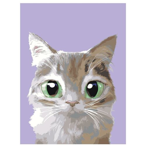 Картина по номерам, Живопись по номерам, 30 x 40, A516, маленький котёнок, большие зеленые глаза, животное, портрет, изолированный фон