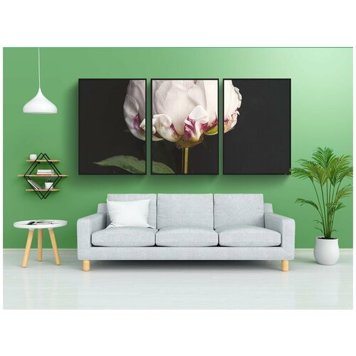 фото Набор модулных постеров для интерьера "цветок, блум, цвести" 60x90 см. в тубусе, без рамки lotsprints