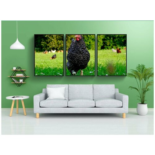 фото Набор модулных постеров для интерьера "курица, домашняя птица, животное" 60x90 см. в тубусе, без рамки lotsprints