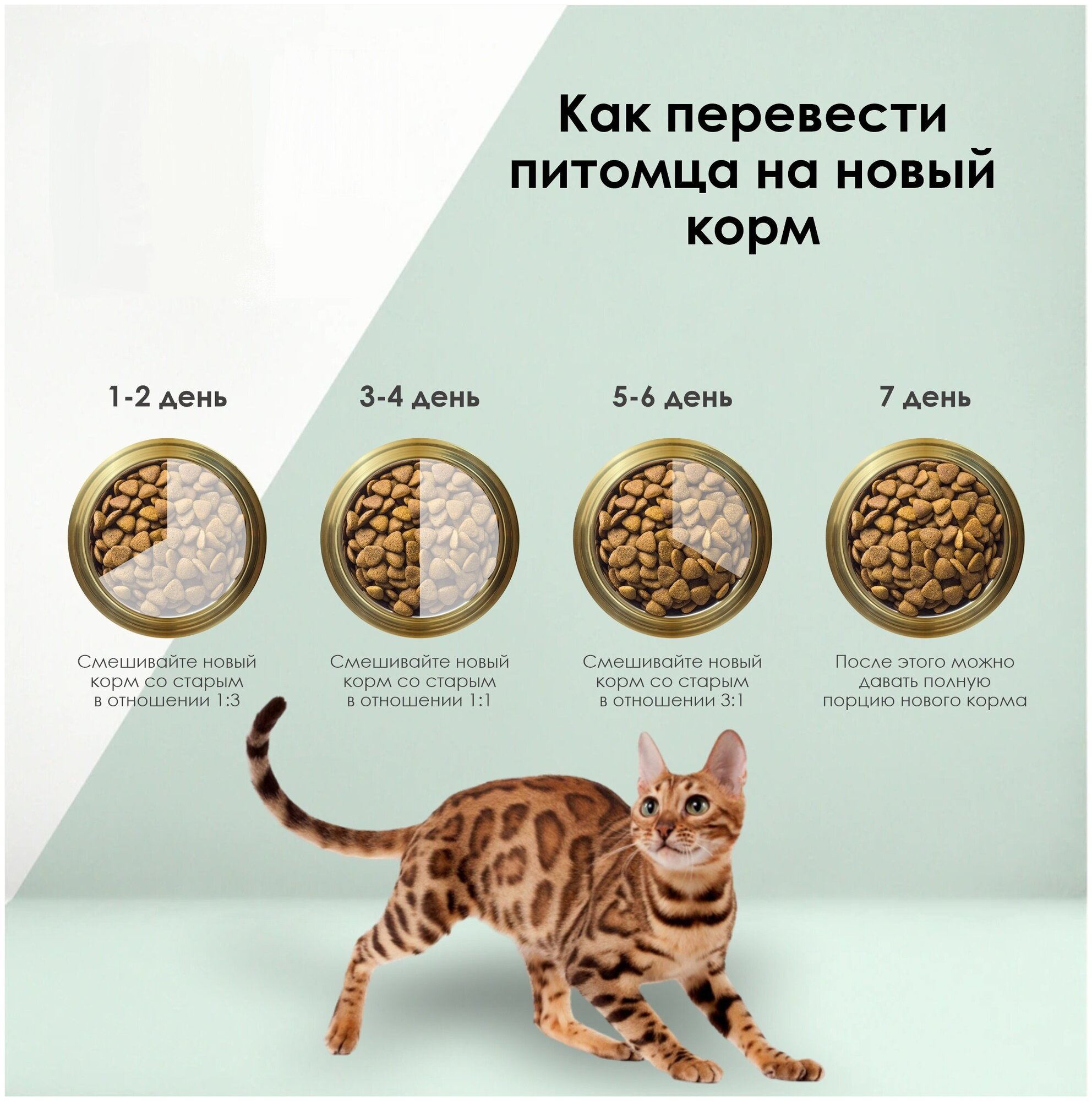 Корм Secret Premium для стерилизованных кошек и кастрированных котов, ягнёнок, 2 кг - фотография № 9