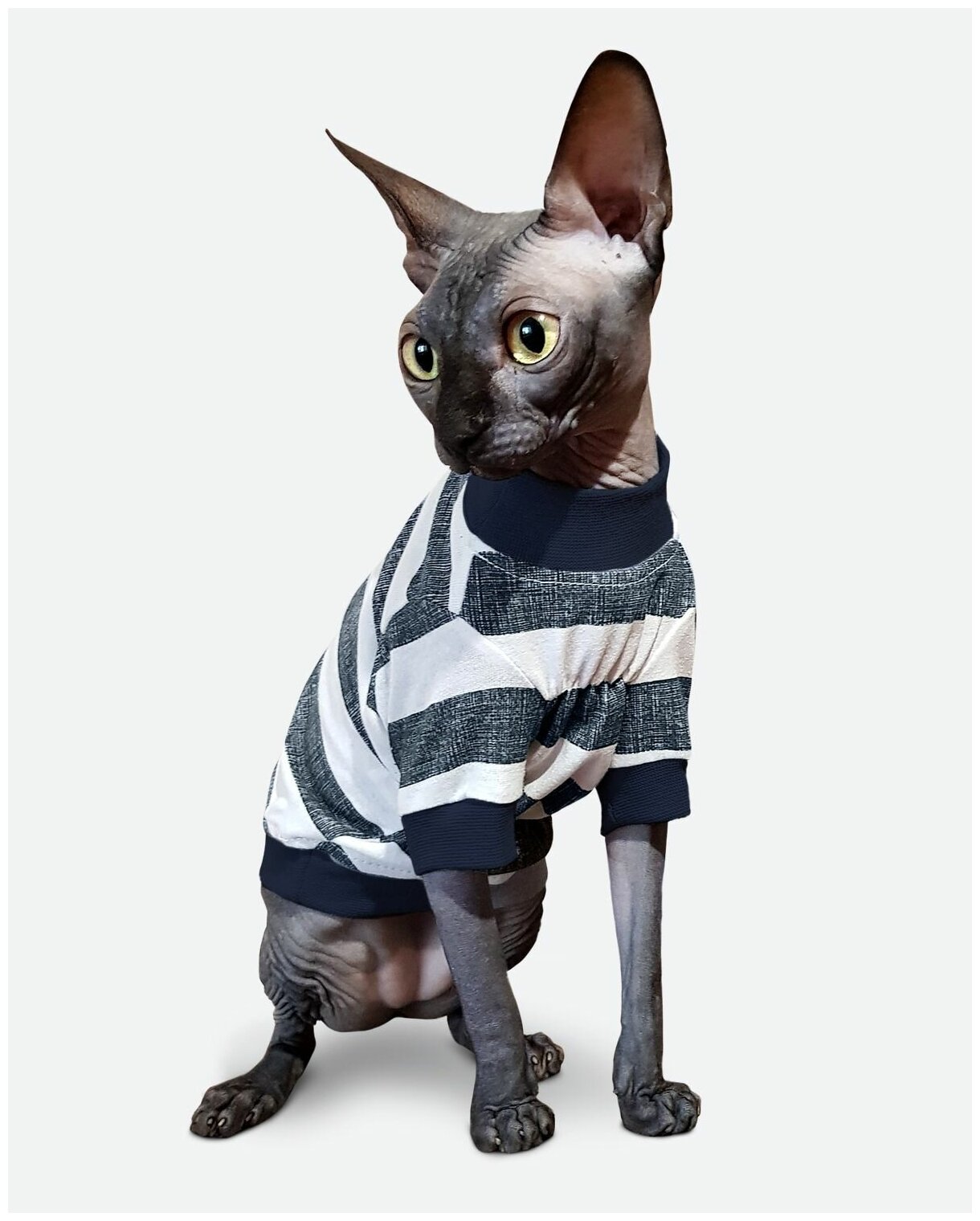 Футболка одежда для кошек и котов Сфинкc "Рэмбо-2" - фотография № 2