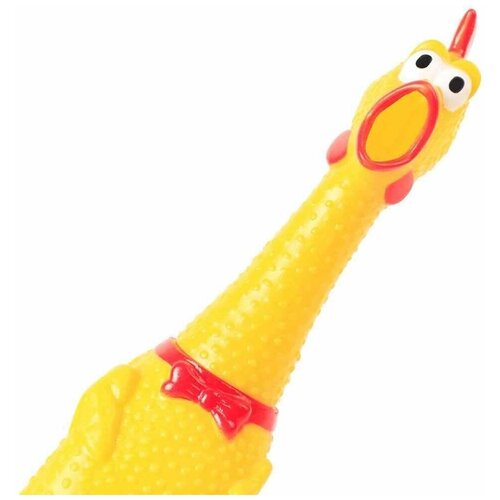 Курица-игрушка (31 см)