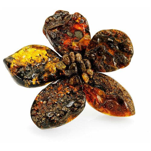 Amberholl Оригинальная брошь «Помпеи» из цельного необработанного янтаря