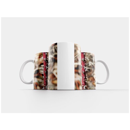 фото Кружка "шипы, колючий, розовый куст" 320 мл lotsprints