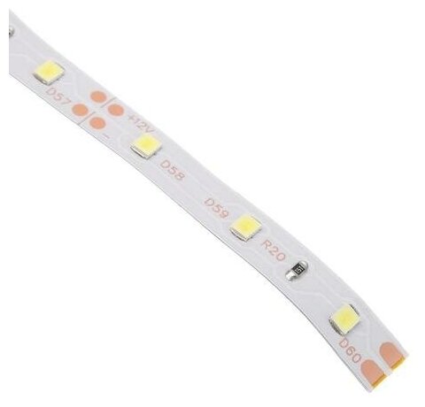 Светодиодная лента Ecola STD, 12В, SMD3528, 5 м, IP20, 4.8Вт/м, 60 LED/м, 6000К