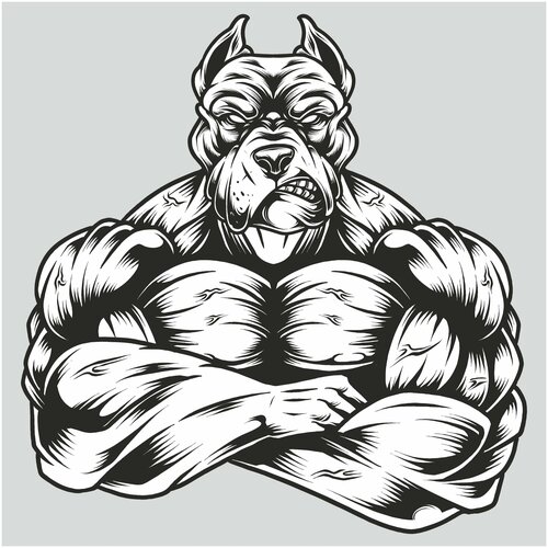 Наклейки на авто на стекло 280₽