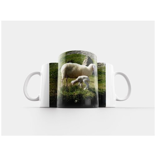 фото Кружка "овец, ягненок, шерсть" 320 мл lotsprints