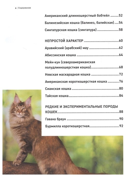 Все породы кошек. Большая иллюстрированная энциклопедия - фото №4