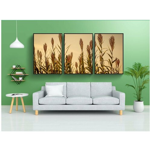 фото Набор модулных постеров для интерьера "трава, тростник, природа" 60x90 см. в тубусе, без рамки lotsprints