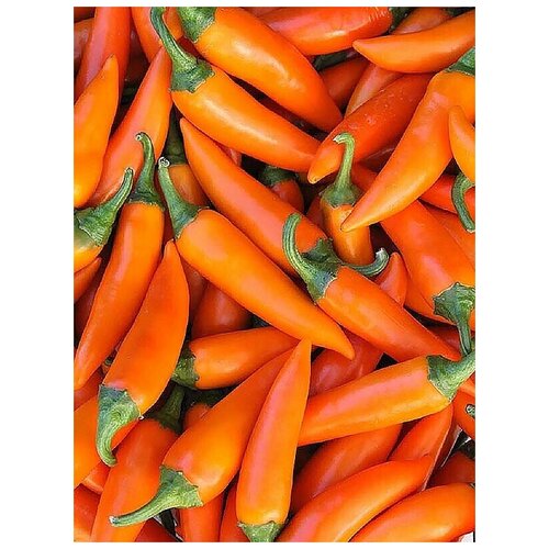 Перец острый Болгарская Морковка (лат. Bulgarian Carrot Pepper) семена 5шт + подарочек