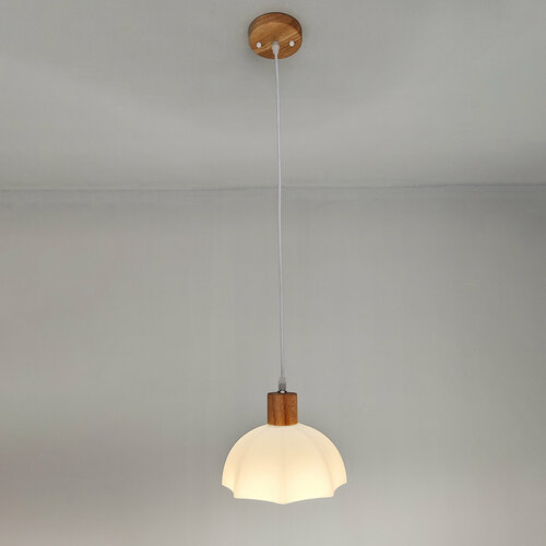 Люстра кухонная 1 плафон 209580 см Е27 60Вт 4м2 2137₽