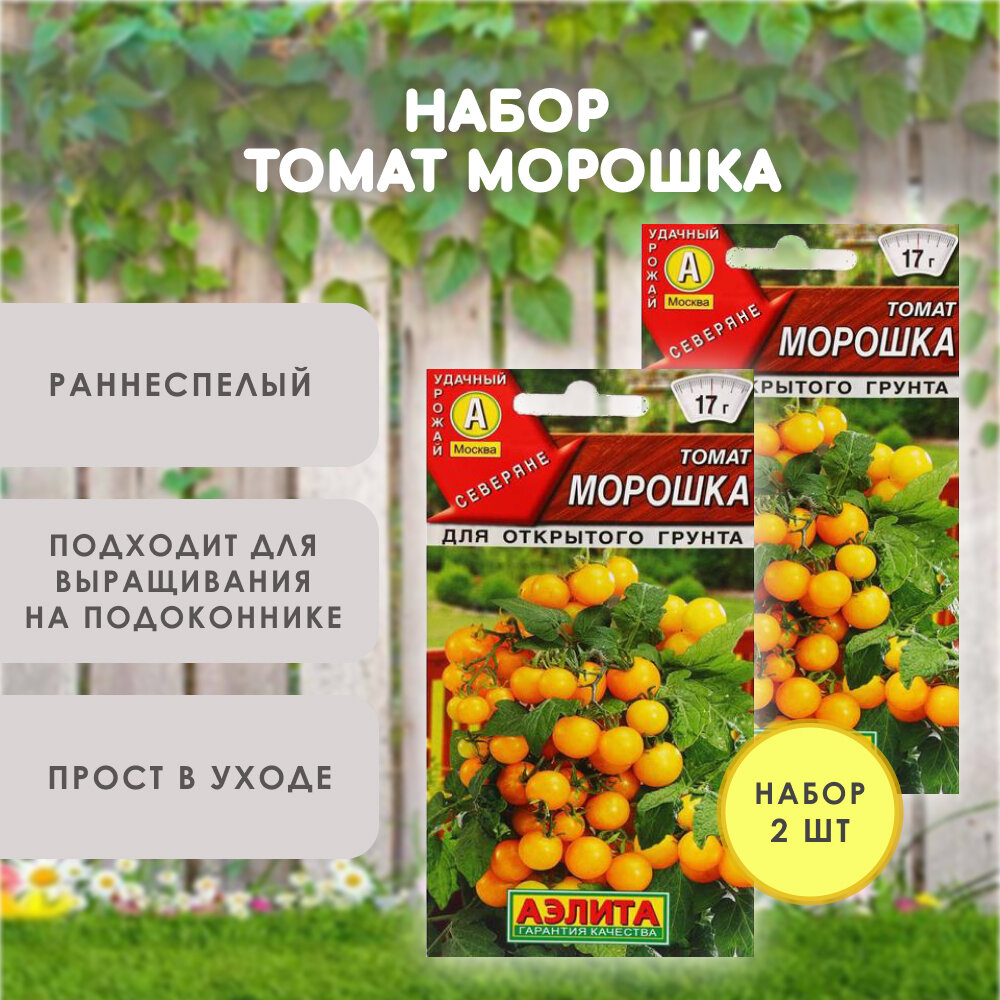 Томат мини Морошка / Томат балконный / Черри, набор 2 шт.