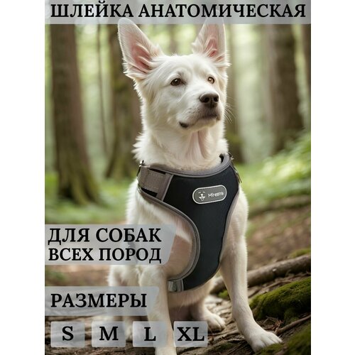 Анатомическая шлейка для собак Mirestra прогулочная светоотражающая