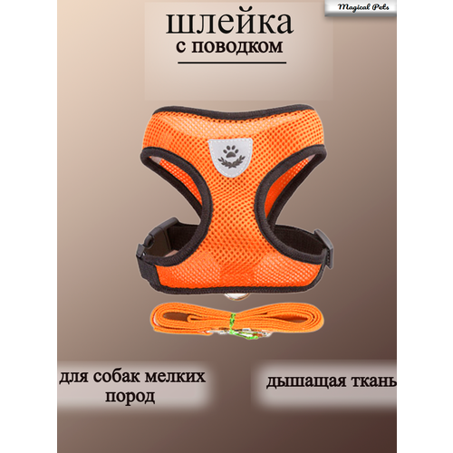Шлейка для собак