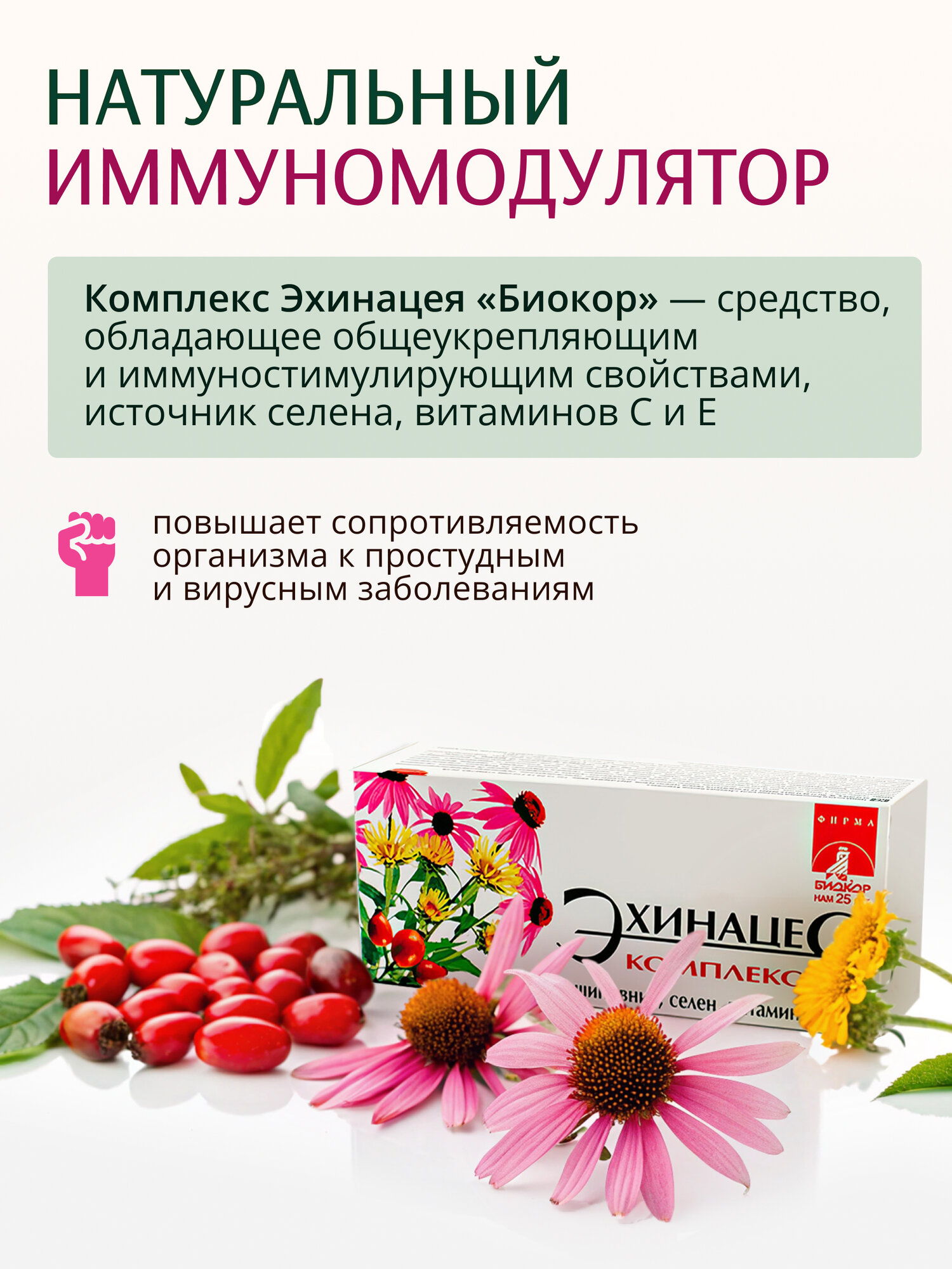 Картинки Биокор / Эхинацея "Биокор" комплекс для иммунитета, 1 упаковка, 40шт