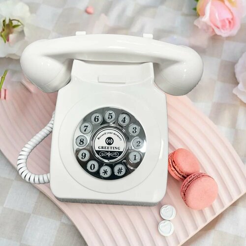 Голосовая книга для гостей Винтажный телефон White 7253₽