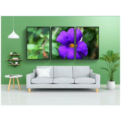 фото Набор модулных постеров для интерьера "цветок, флора, красивая" 60x90 см. в тубусе, без рамки lotsprints