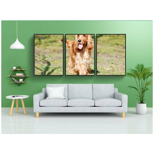 фото Набор модулных постеров для интерьера "кокер-спаниель английский, кокер-спаниель, кокер" 60x90 см. в тубусе, без рамки lotsprints