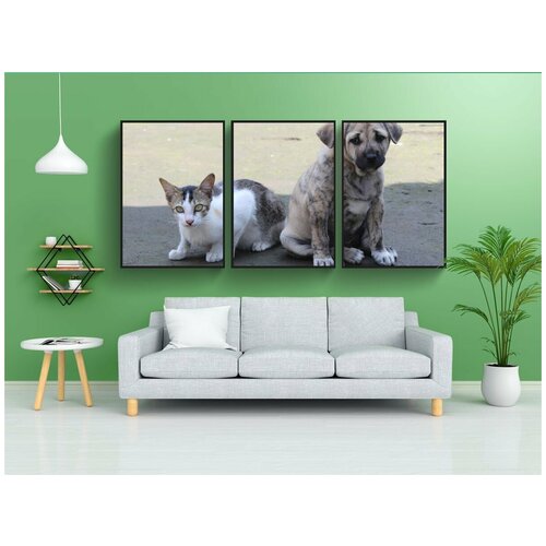 фото Набор модулных постеров для интерьера "домашний питомец, милый, животное" 60x90 см. в тубусе, без рамки lotsprints