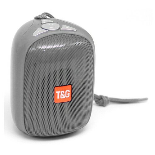 Беспроводная колонка T G TG-609 серый 123500₽
