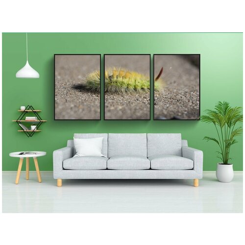 фото Набор модулных постеров для интерьера "гусеница, зеленый, зеленая гусеница" 60x90 см. в тубусе, без рамки lotsprints