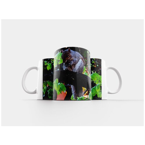 фото Кружка "белка, белки, природа" 320 мл lotsprints