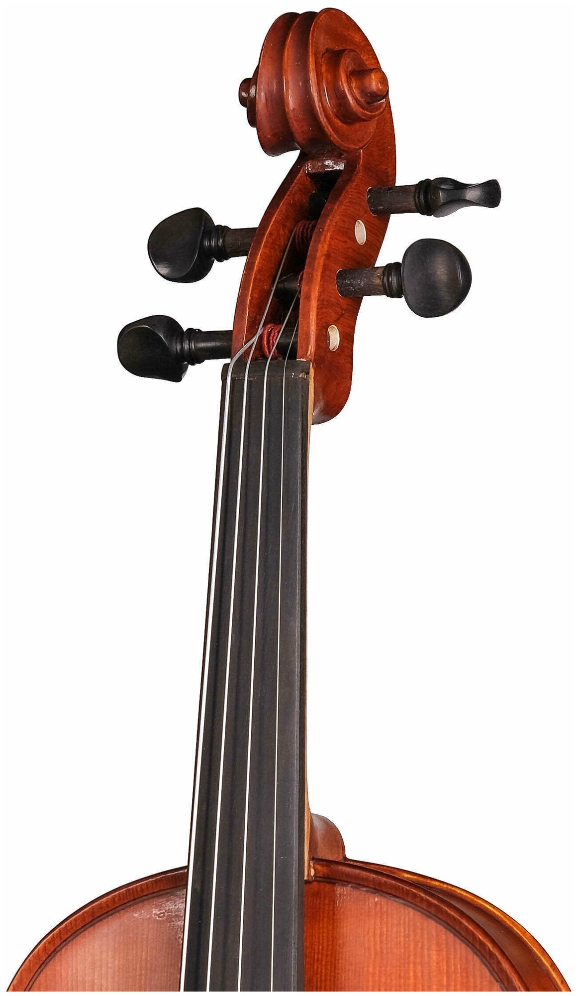 Скрипка размер 4/4 Gliga I-V044-O — фото 1