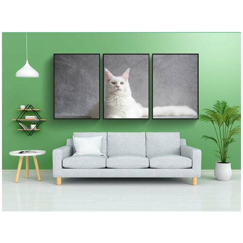 фото Набор модулных постеров для интерьера "мейн кун, кошка, домашний питомец" 60x90 см. в тубусе, без рамки lotsprints