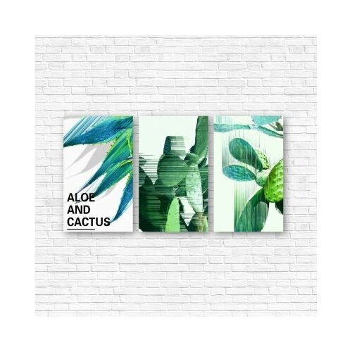 Модульная картина Суккуленты рулят