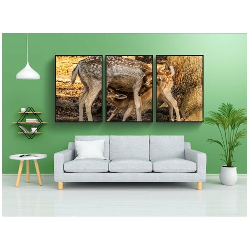 фото Набор модулных постеров для интерьера "палевый кормления, лань, хинд" 60x90 см. в тубусе, без рамки lotsprints
