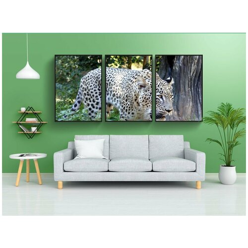 фото Набор модулных постеров для интерьера "большой кот, кошка, леопард" 60x90 см. в тубусе, без рамки lotsprints