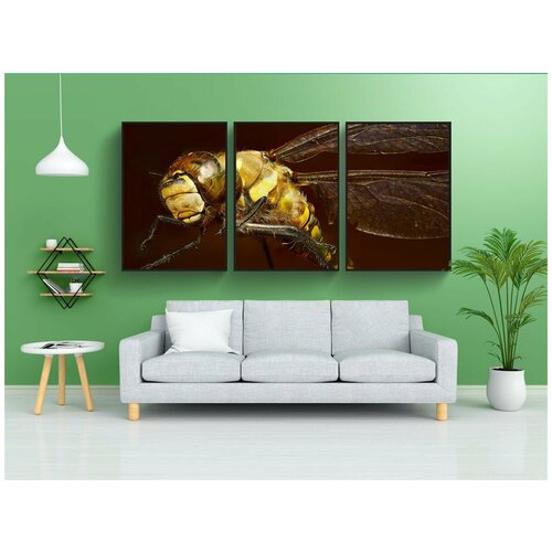 фото Набор модулных постеров для интерьера "ошибка, стрекоза, макрос" 60x90 см. в тубусе, без рамки lotsprints