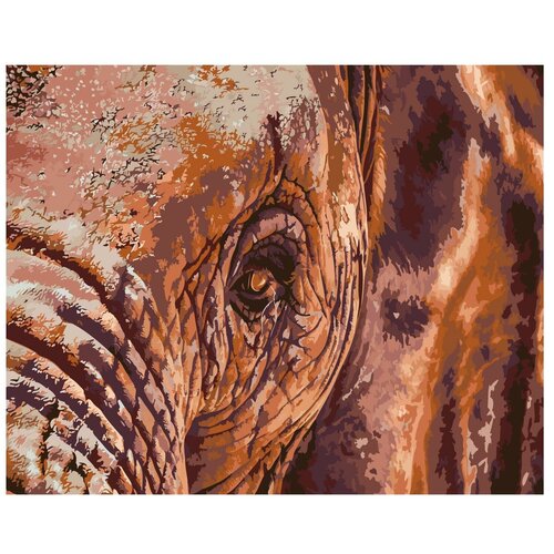 Картина по номерам, Живопись по номерам, 100 x 125, A435, слон, животное, мамонт, дикий, кожа картина по номерам живопись по номерам 100 x 125 a212 животное волшебство слон зебра бабочка дикий бивни