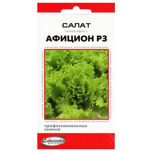 Семена Салат Афицион РЗ 20шт для дачи, сада, огорода, теплицы / рассады в домашних условиях семена салат афицион рз 20шт для дачи сада огорода теплицы рассады в домашних условиях