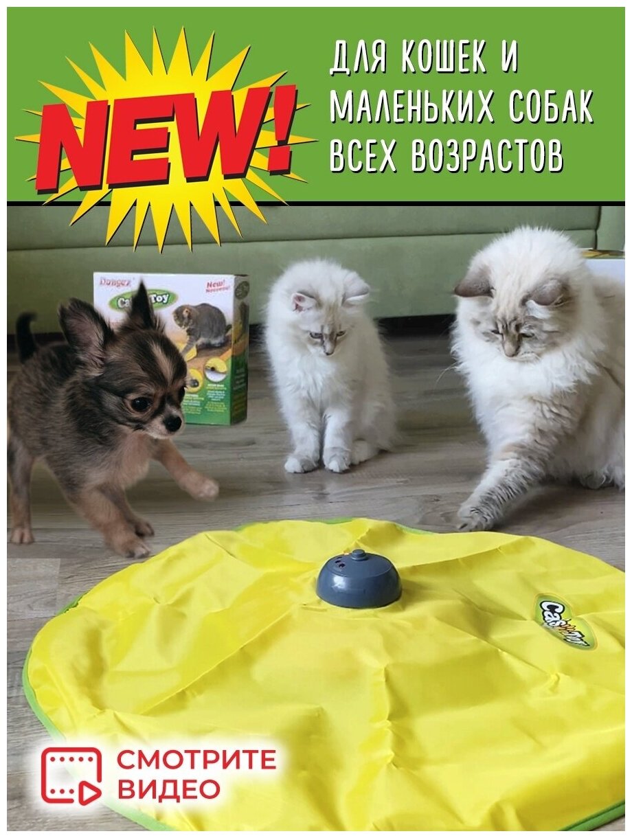 Интерактивная игрушка для кошек Cats Toy. Мышка под ковриком. - фотография № 10