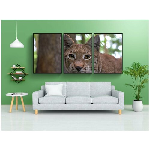 фото Набор модулных постеров для интерьера "рысь, кот, кошачьи" 60x90 см. в тубусе, без рамки lotsprints