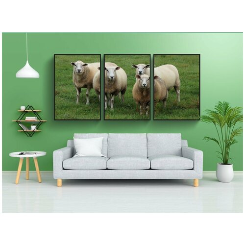 фото Набор модулных постеров для интерьера "овец, стадо овец, стадо" 60x90 см. в тубусе, без рамки lotsprints