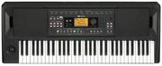 KORG EK-50 синтезатор с автоаккомпаниментом 61 клавиша, полифония 64 голоса, подставка для нот