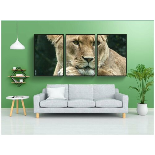 фото Набор модулных постеров для интерьера "львица, дикая природа, хищник" 60x90 см. в тубусе, без рамки lotsprints