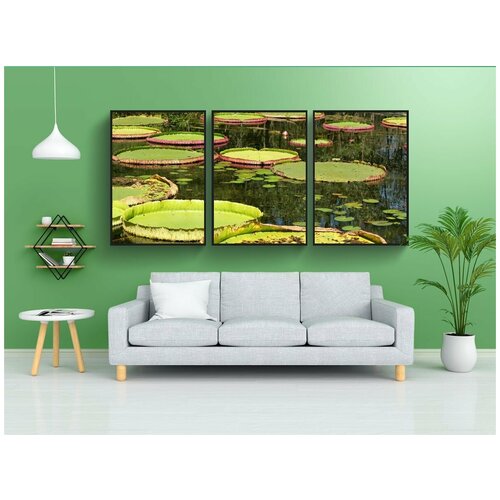 фото Набор модулных постеров для интерьера "лилии, пруд, водный" 60x90 см. в тубусе, без рамки lotsprints