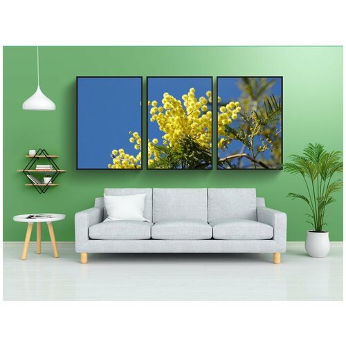 фото Набор модулных постеров для интерьера "желтый цветок, мимоза, весна" 60x90 см. в тубусе, без рамки lotsprints