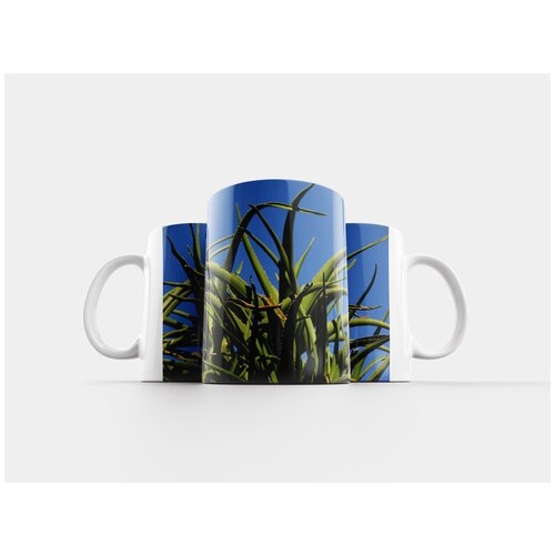 фото Кружка "алоэ вера, сочный, зеленый" 320 мл lotsprints