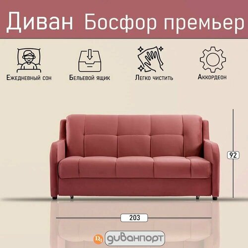 Прямой диван, Диван-кровать босфор премьер, Независимый пружинный блок, механизм Аккордеон, Arben Amigo Berry 203х110х92 см