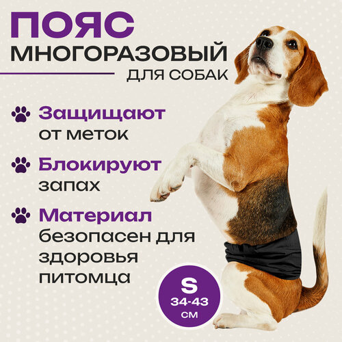 Пояс для кобелей Big Tiny, многоразовый, размер S, черный, полиэстер, хлопок