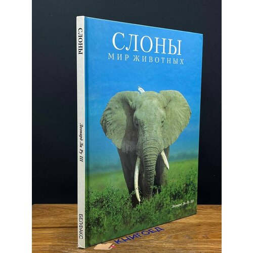 Слоны Мир животных 1995
