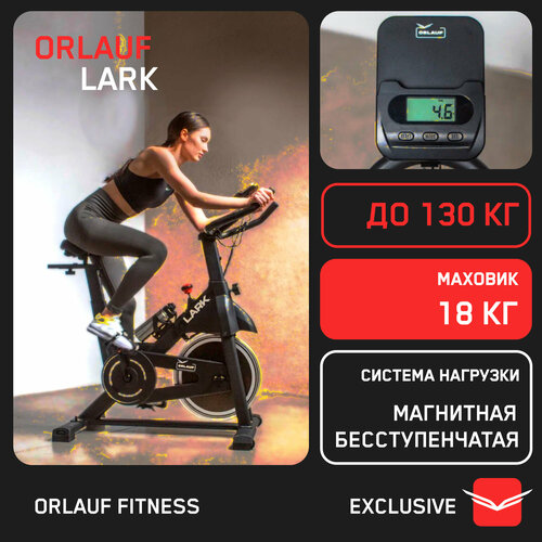 Спин-байк для дома Orlauf Lark Велотренажер 45671₽