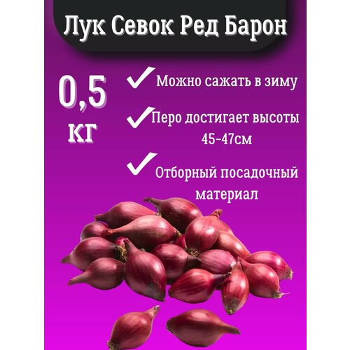 Лук Севок сорт Ред Барон 05кг 400₽